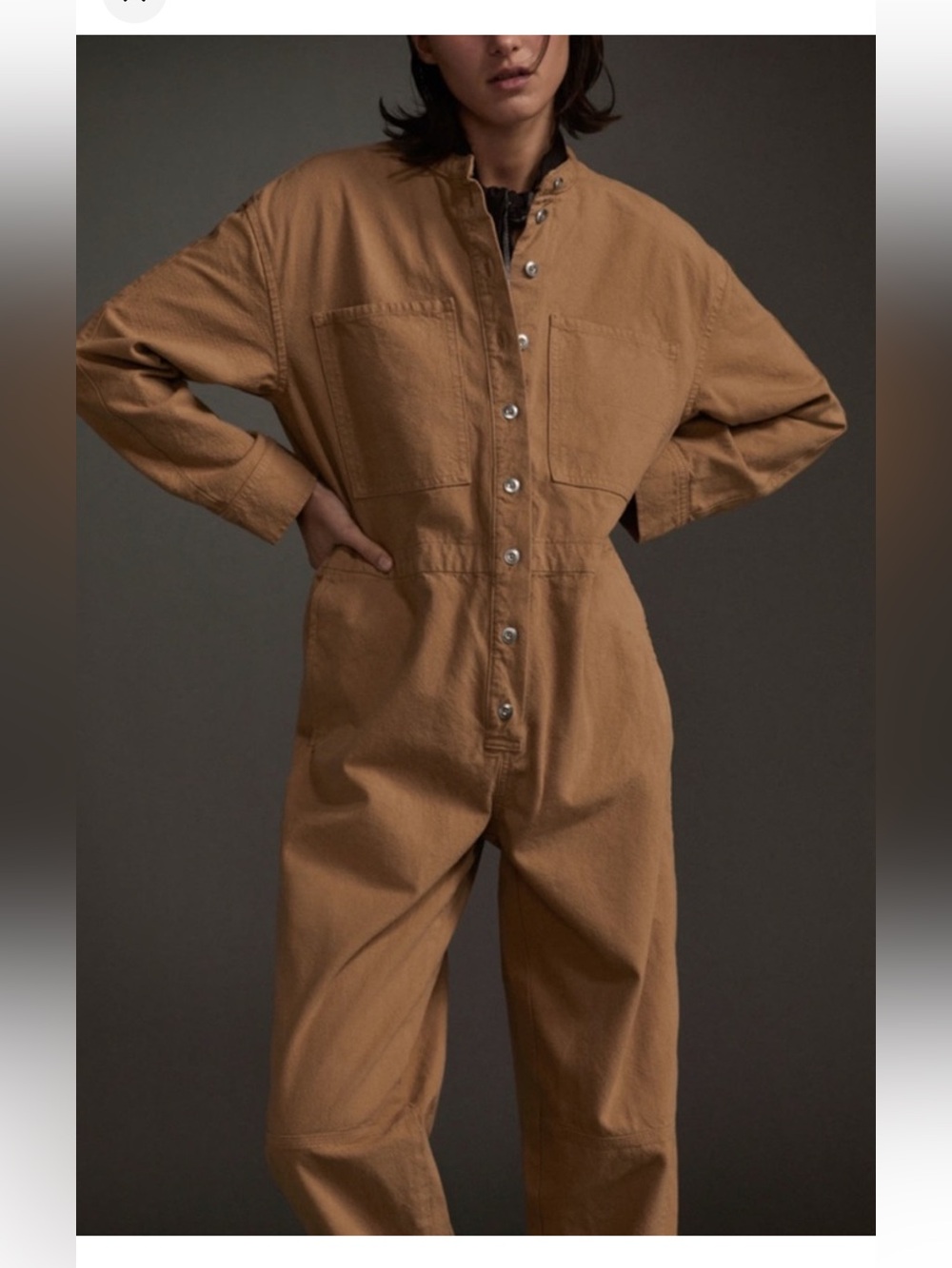 Everlane Caramel-Tan Utility Jumpsuit